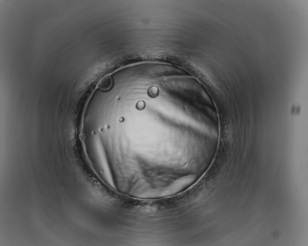 X0000092260687200709281204