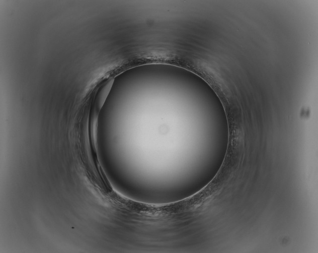 X0000092260688200709281204