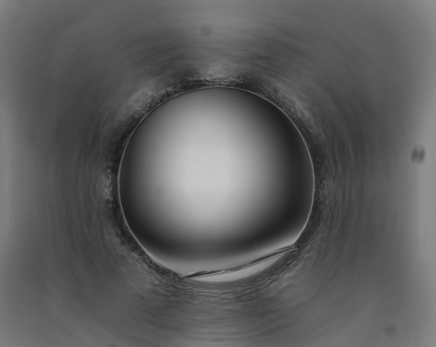 X0000092260689200709281204