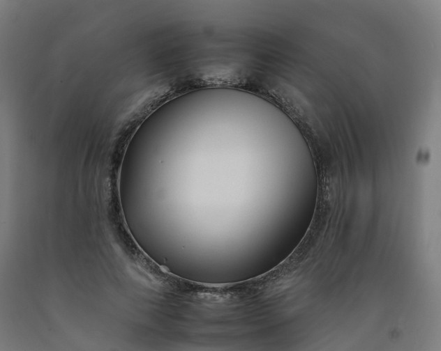 X0000092260690200709281204