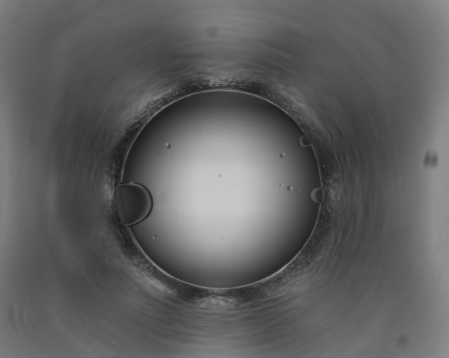 X0000092260691200709281204