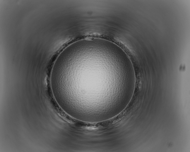 X0000092260692200709281204