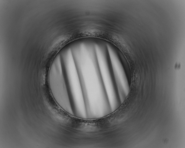 X0000092260694200709281204