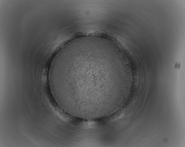 X0000092260695200709281204