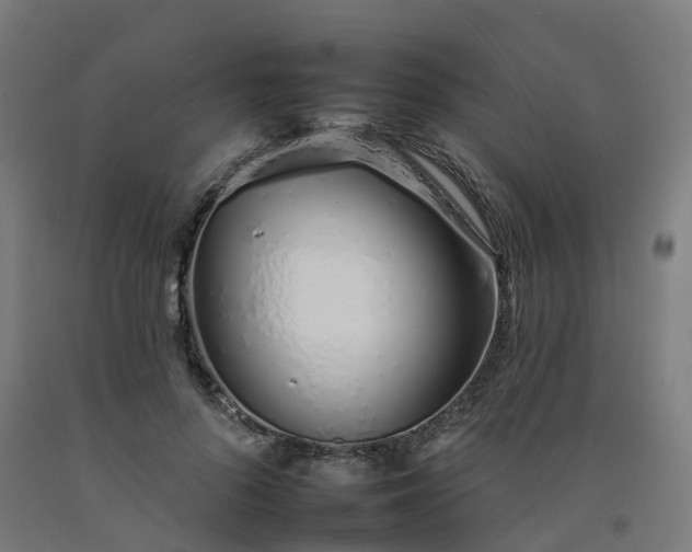 X0000092260696200709281204