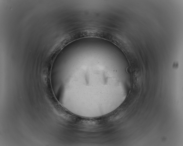 X0000092260698200709281204