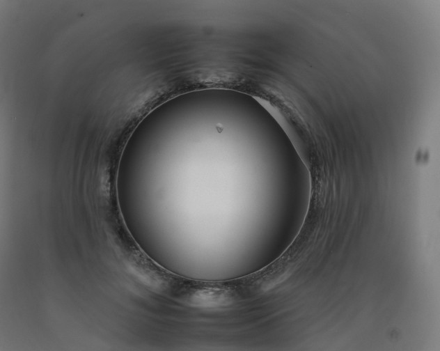 X0000092260700200709281204