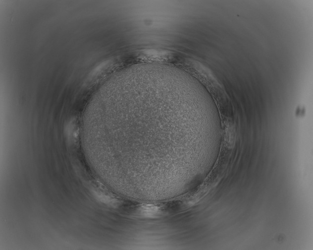 X0000092260701200709281204