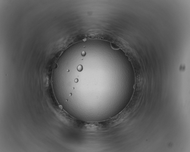 X0000092260703200709281204