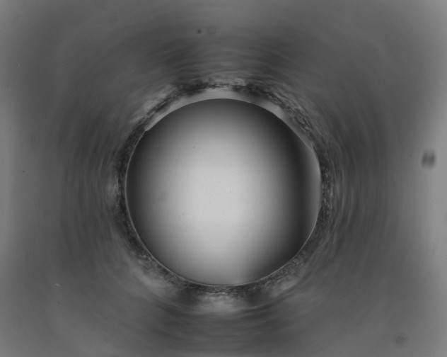 X0000092260704200709281204