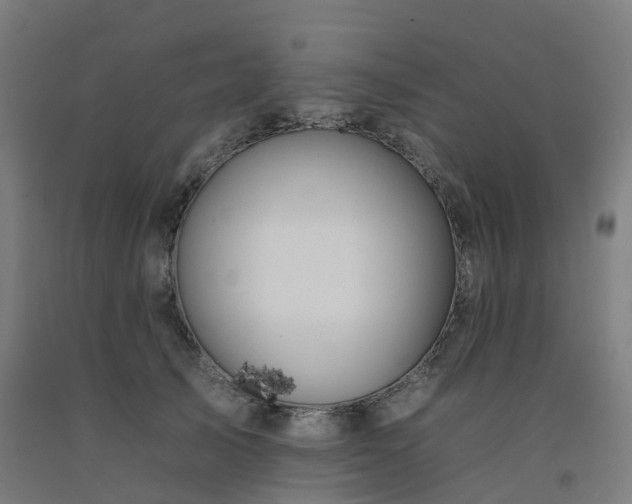 X0000092260705200709281204