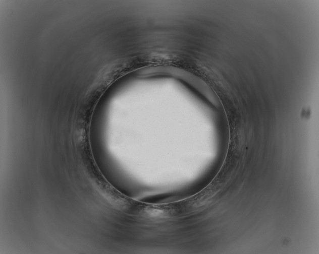 X0000092260706200709281204