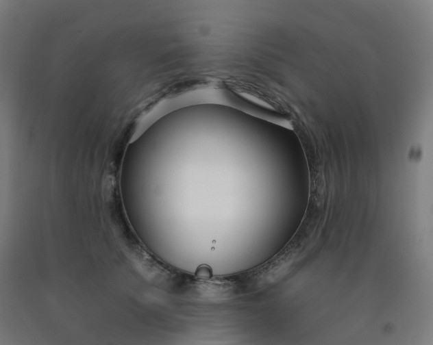 X0000092260707200709281204