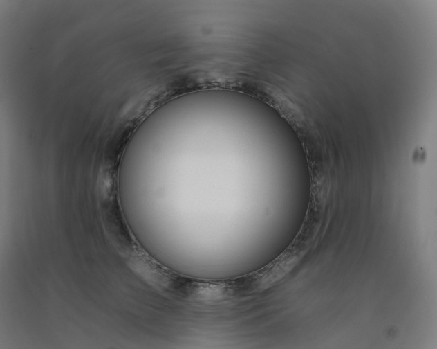 X0000092260709200709281204