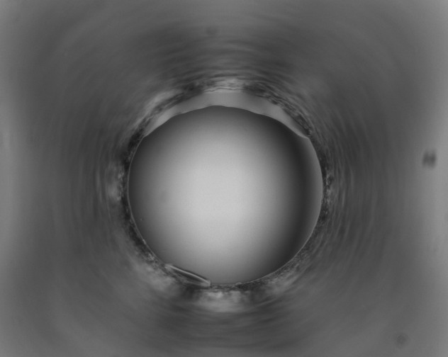 X0000092260712200709281204