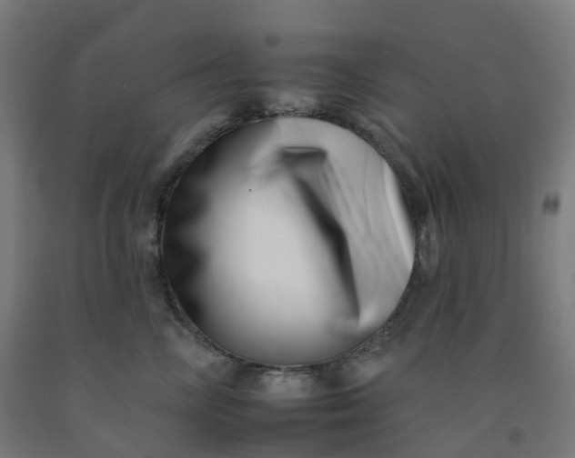 X0000092260714200709281204