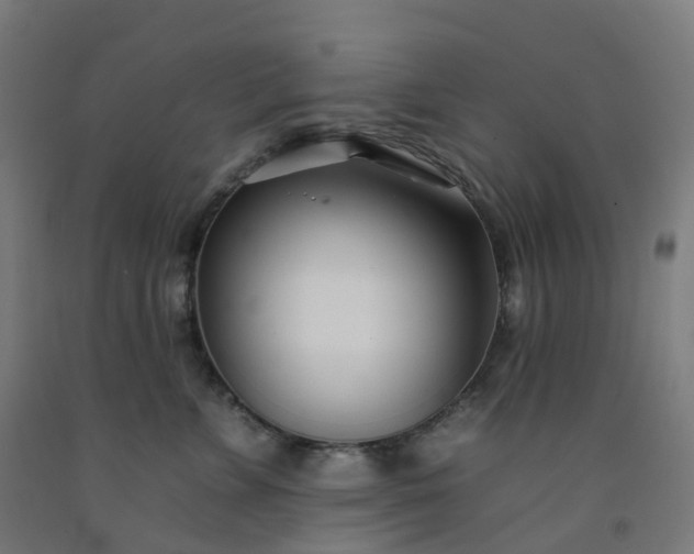 X0000092260715200709281204