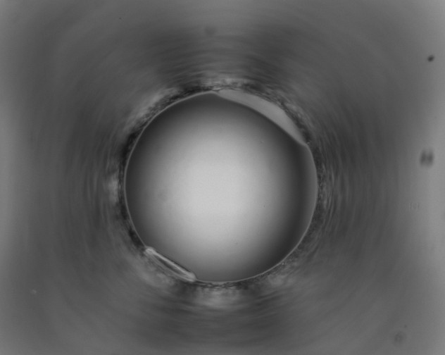 X0000092260716200709281204