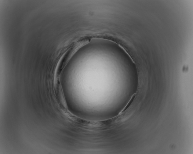 X0000092260720200709281204