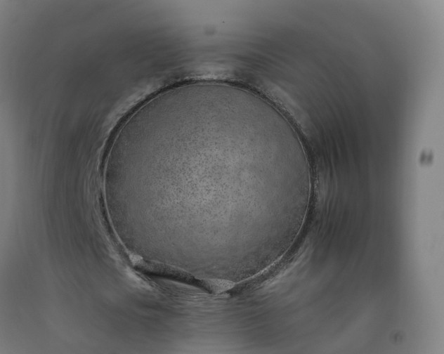 X0000092260721200709281203