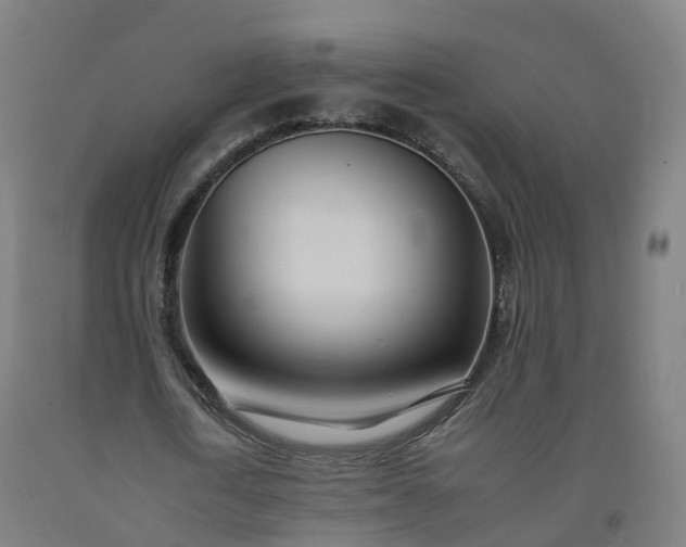 X0000092260722200709281203