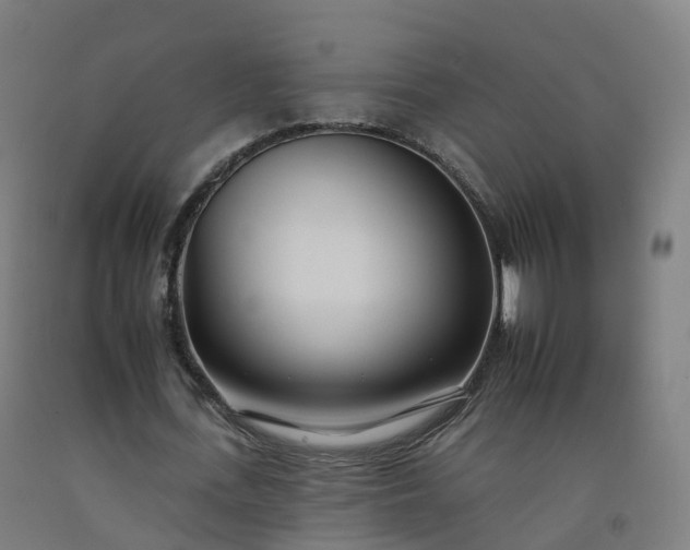 X0000092260723200709281203