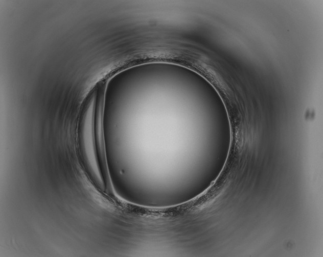 X0000092260725200709281203