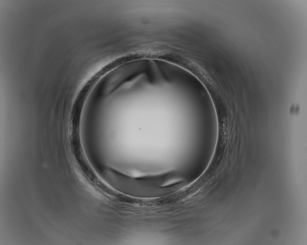 X0000092260726200709281203