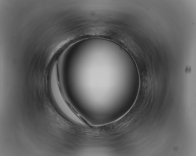 X0000092260727200709281203