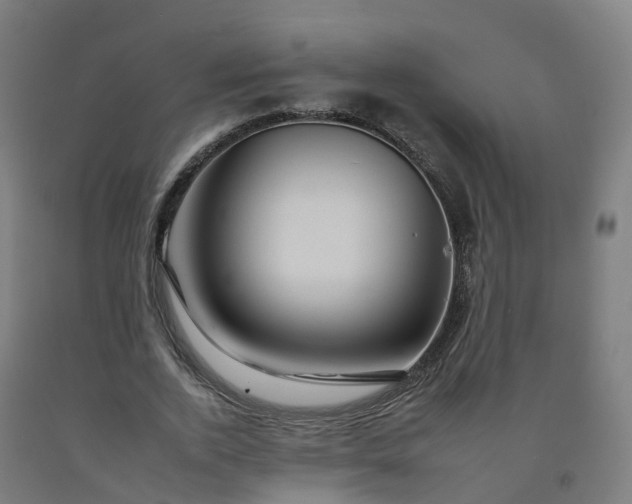 X0000092260728200709281203