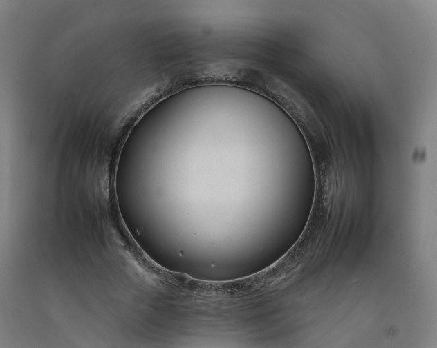 X0000092260729200709281203