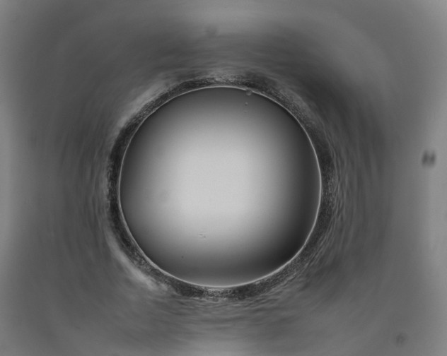 X0000092260730200709281203