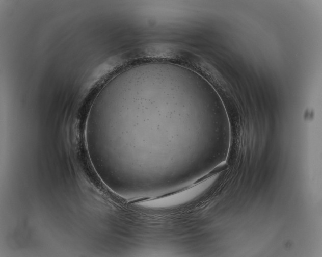 X0000092260731200709281203