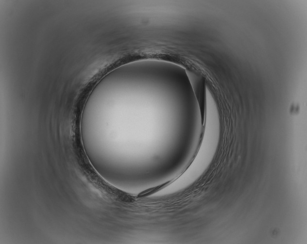 X0000092260732200709281203