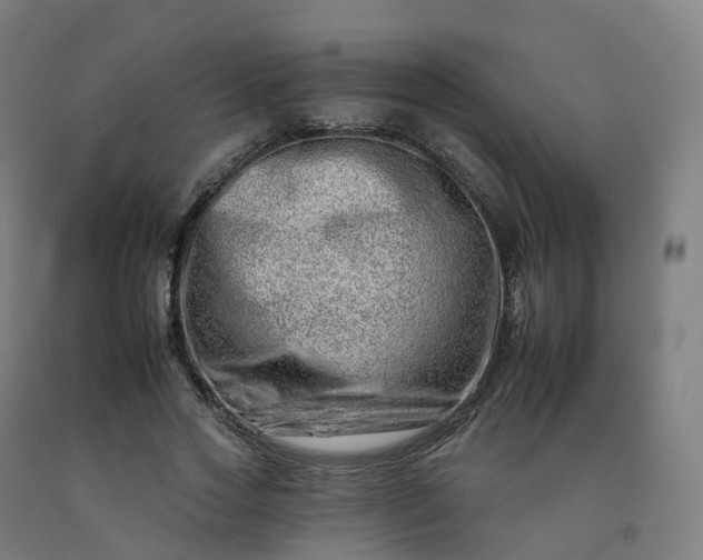 X0000092260733200709281203