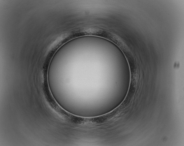 X0000092260734200709281203