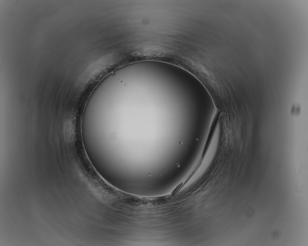 X0000092260735200709281203