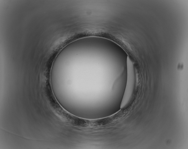 X0000092260736200709281203