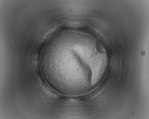 X0000092260737200709281203