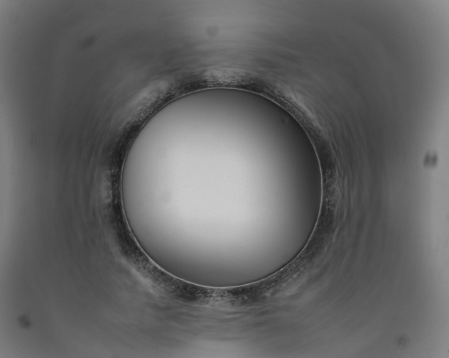 X0000092260738200709281203