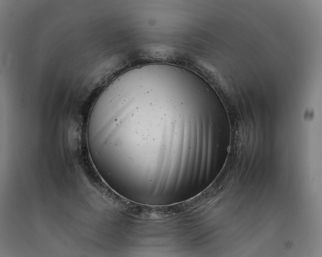 X0000092260739200709281203