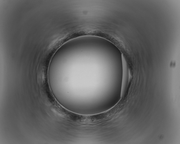 X0000092260740200709281203