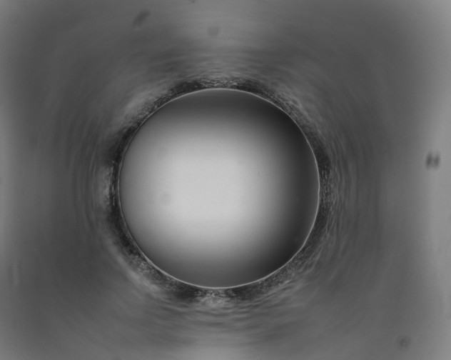 X0000092260742200709281203