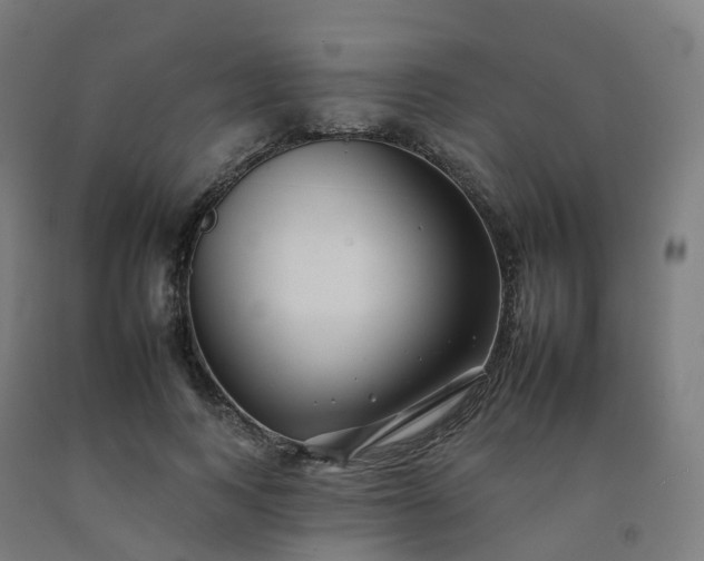 X0000092260743200709281203