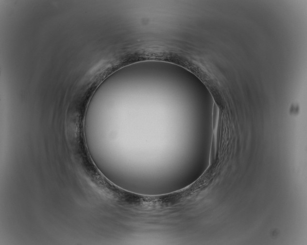 X0000092260744200709281203