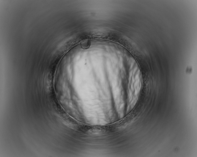 X0000092260745200709281203