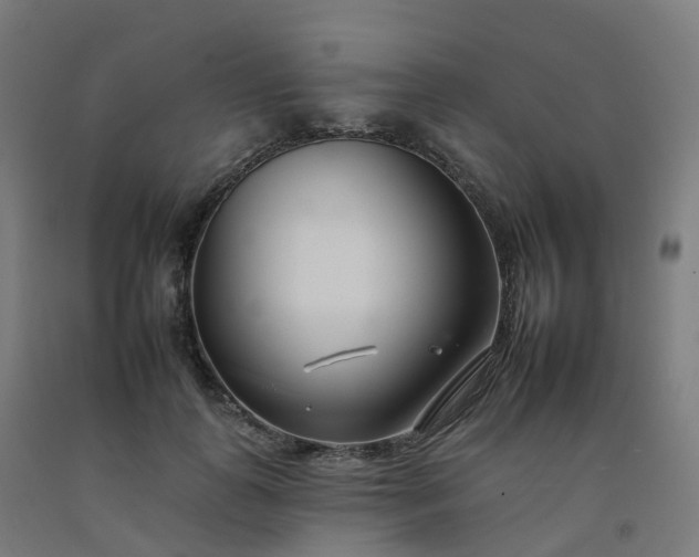 X0000092260747200709281204