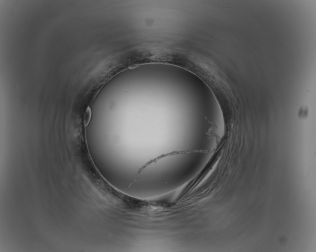 X0000092260748200709281204