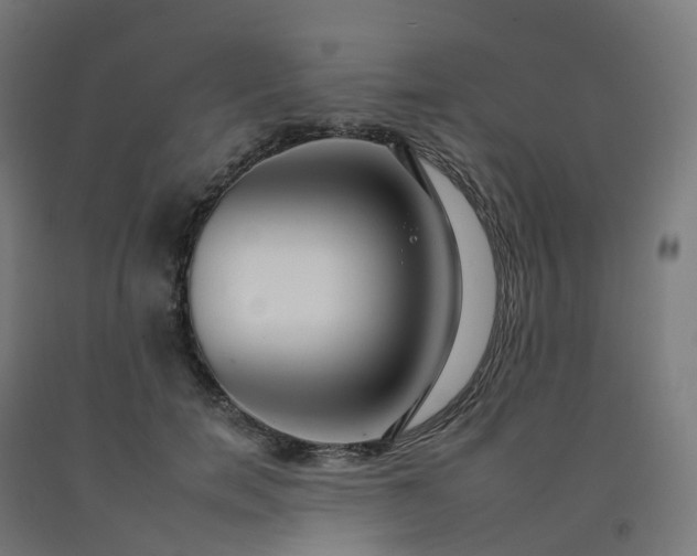 X0000092260750200709281204