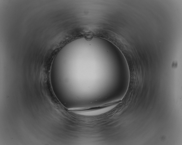 X0000092260751200709281204